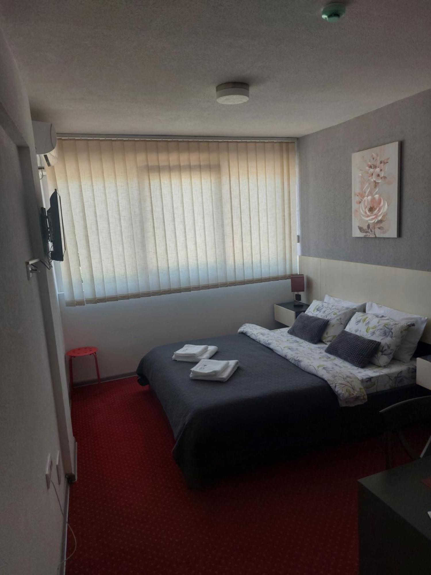 Rooms S&S Milicevic U Strogom Centru Aleksandrovca Aleksandrovac 部屋 写真