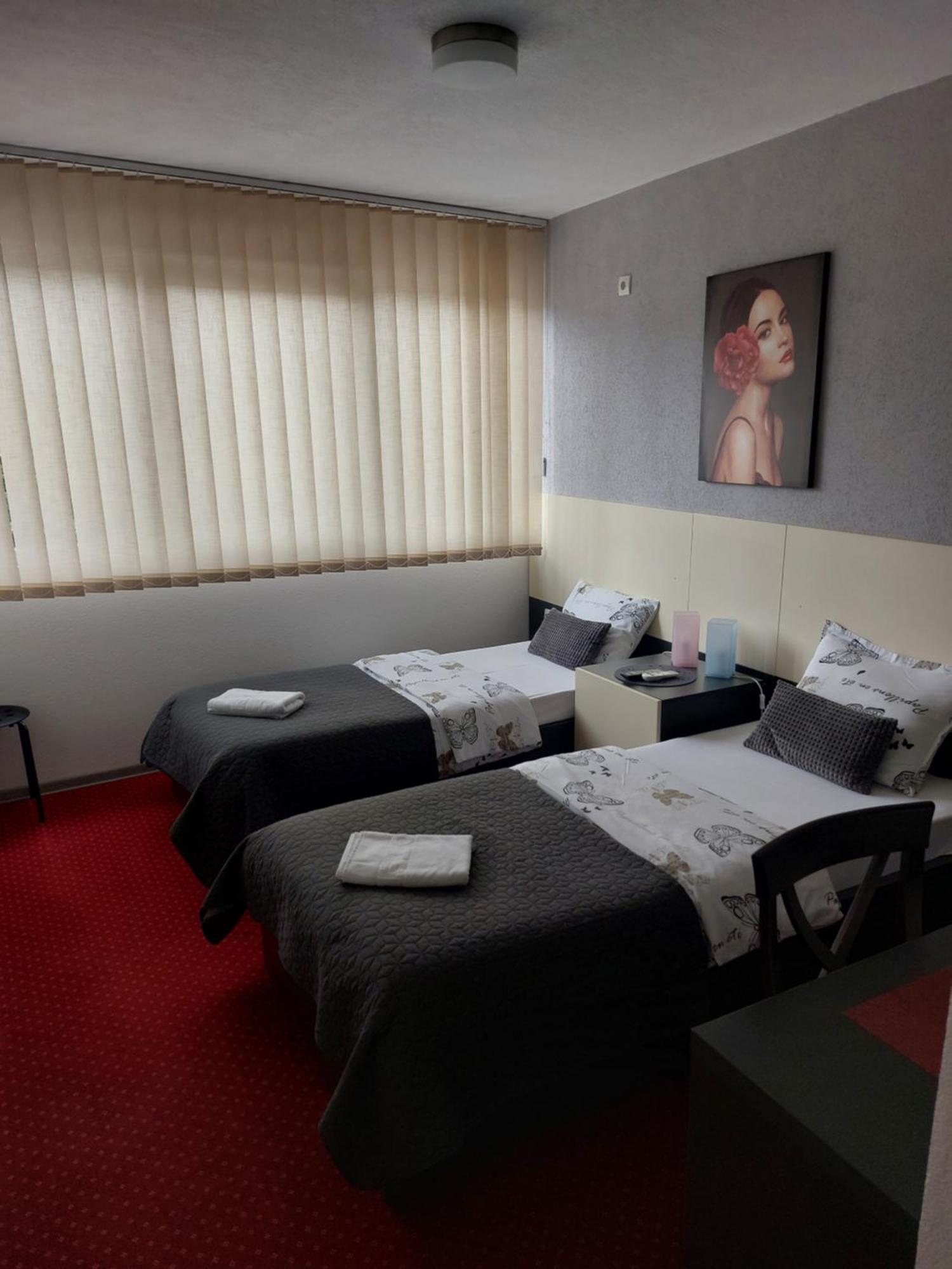 Rooms S&S Milicevic U Strogom Centru Aleksandrovca Aleksandrovac 部屋 写真