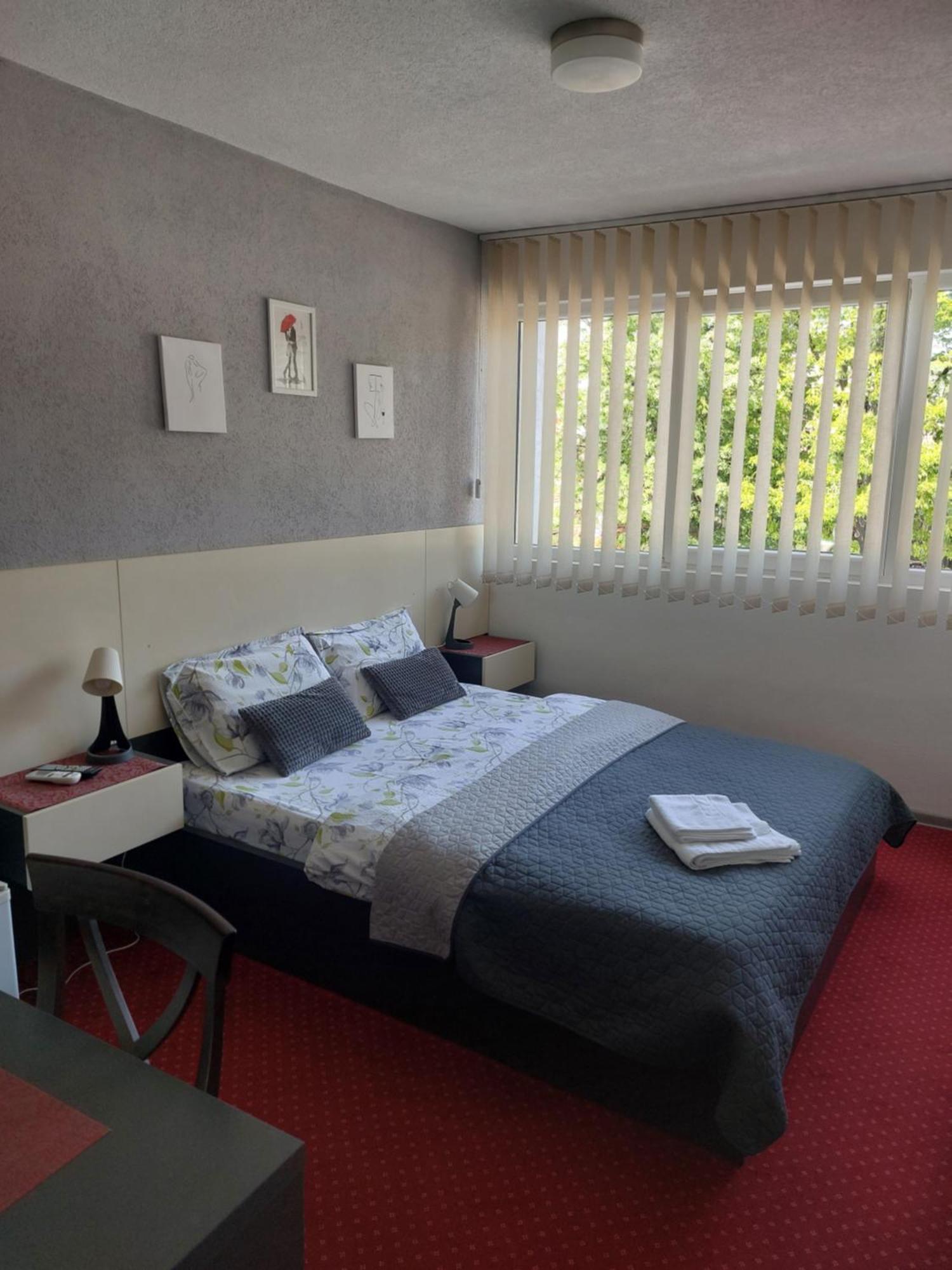 Rooms S&S Milicevic U Strogom Centru Aleksandrovca Aleksandrovac 部屋 写真