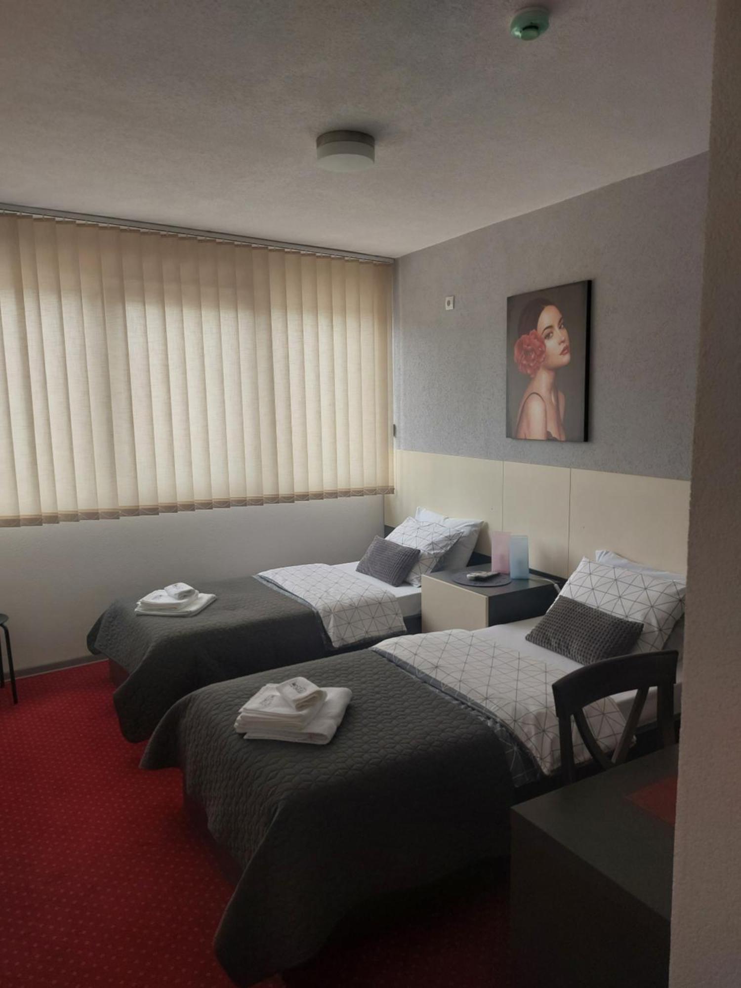 Rooms S&S Milicevic U Strogom Centru Aleksandrovca Aleksandrovac 部屋 写真