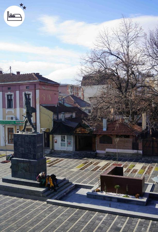 Rooms S&S Milicevic U Strogom Centru Aleksandrovca Aleksandrovac エクステリア 写真